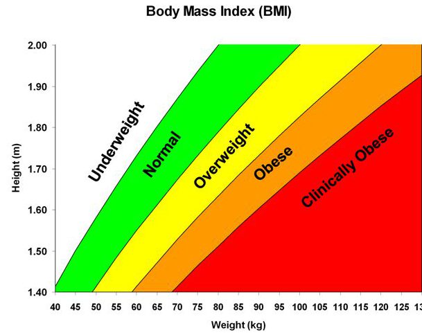 BMI index